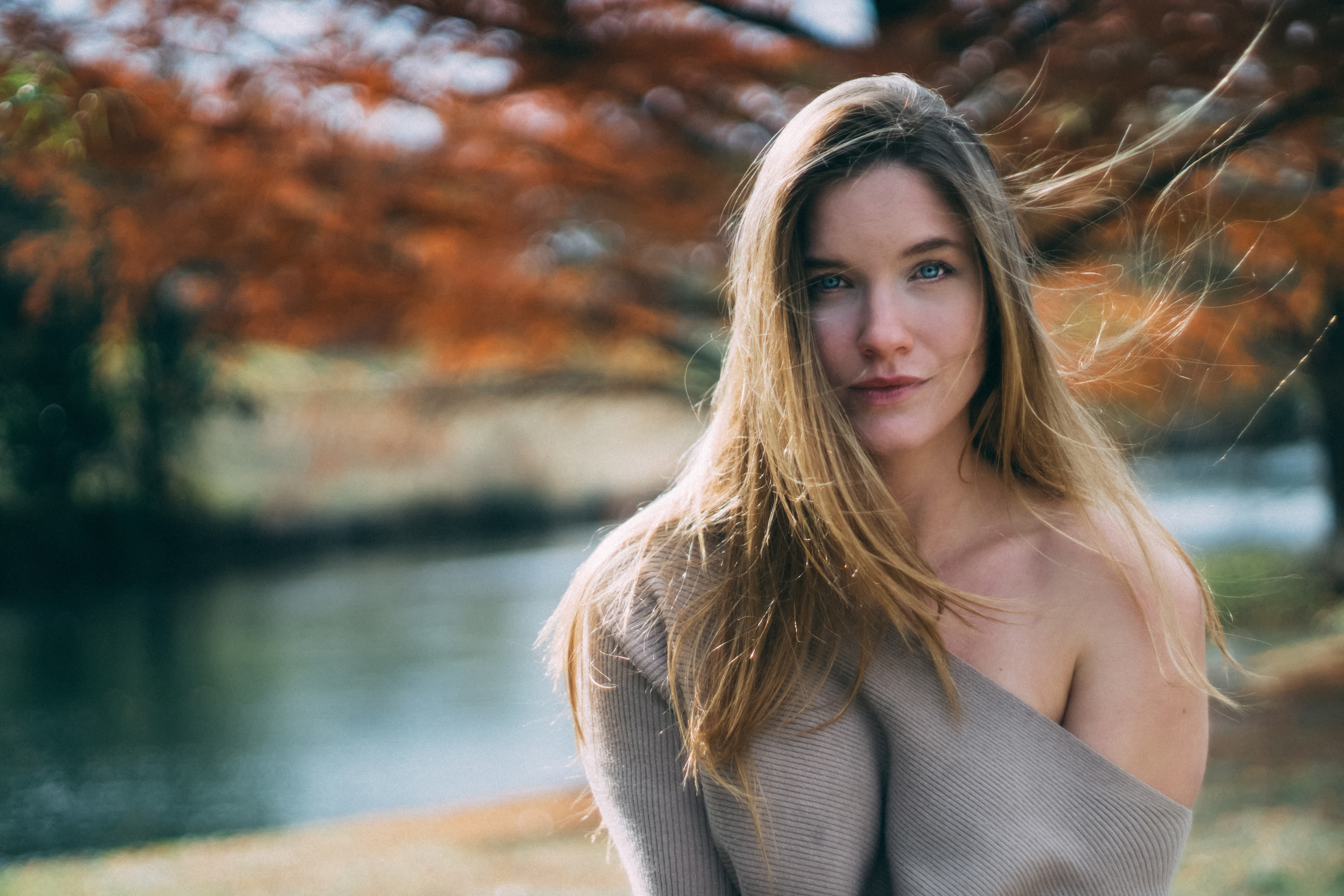 Dark Horse Photography Fall Gallery Image
