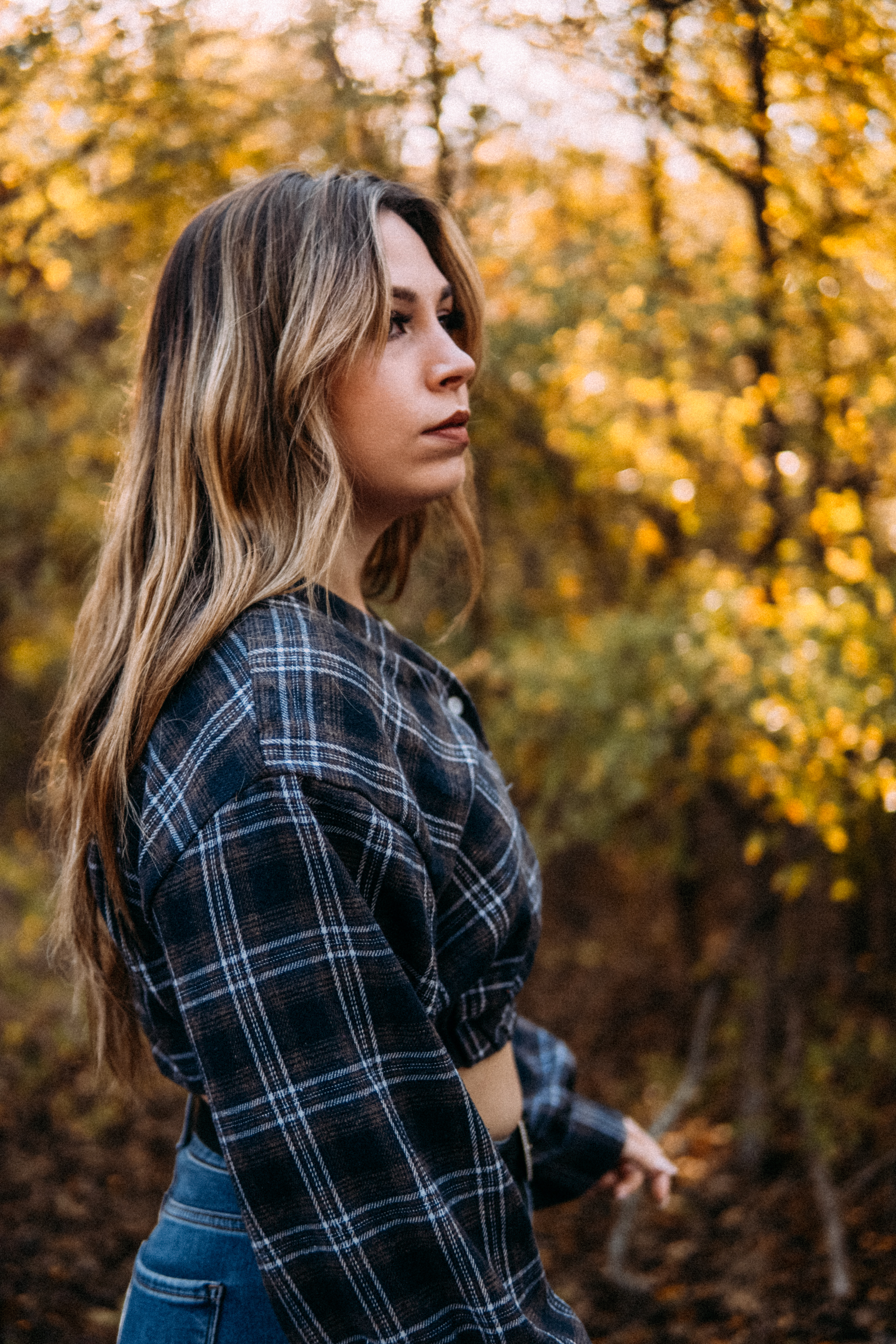 Dark Horse Photography Fall Gallery Image